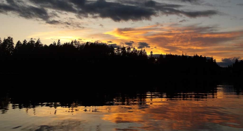 The sky appears in gentle colors above trees and a body of water. 